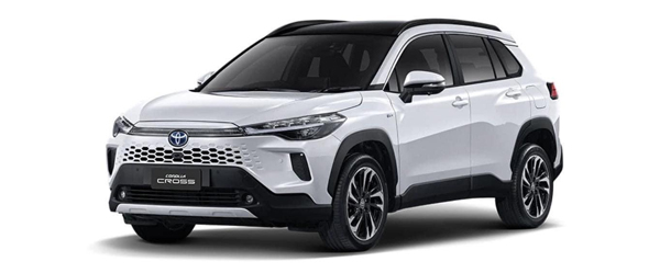 Toyota Cross Quảng Bình